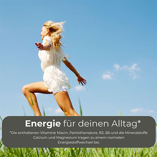 Hansepharm - power eiweiß plus - 500g Vanillegeschmack - von Zuckerschmuck