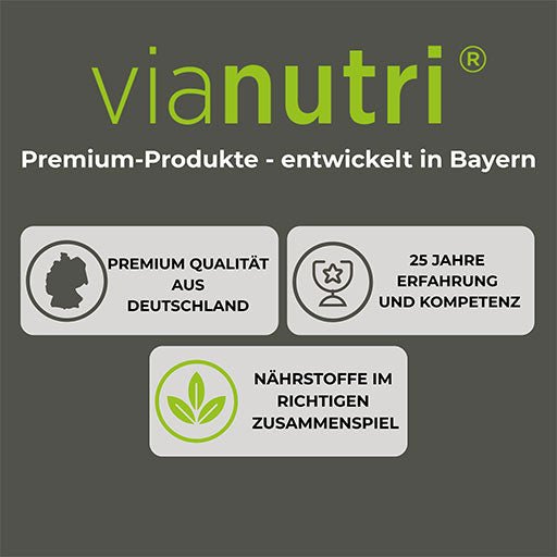 Hansepharm - power eiweiß plus - 500g Vanillegeschmack - von Zuckerschmuck
