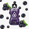 BOLERO Johannisbeere 12x1,5Liter - von Zuckerschmuck