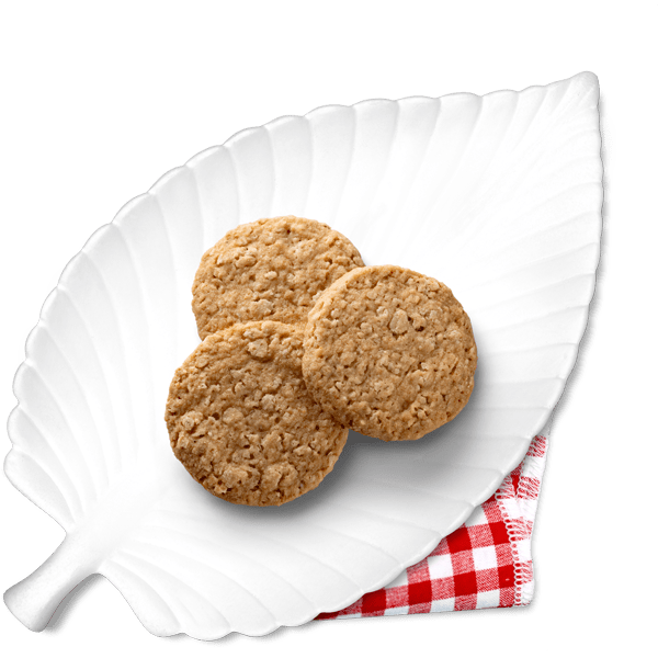 Hafer Cookies zuckerfrei - 200g (nur ca. 3g anrechenb. KH/Keks) - von Zuckerschmuck